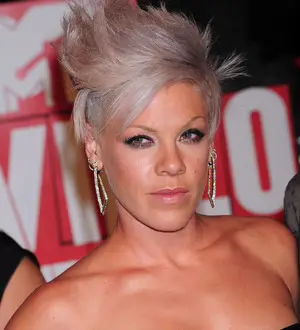 Pink hits out at Twitter critics