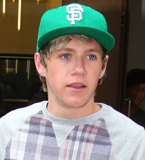 Niall Horan excited to meet online pal Demi Lovato at VMAs