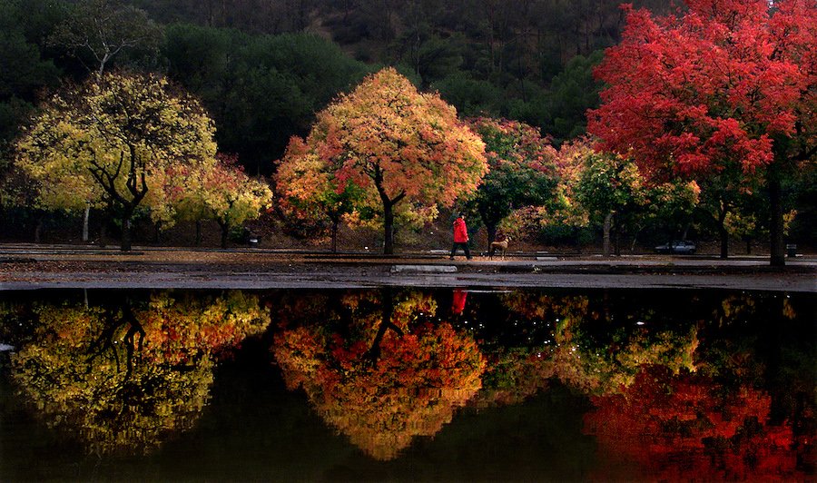6 Places to Fall for Autumn in L.A.!
