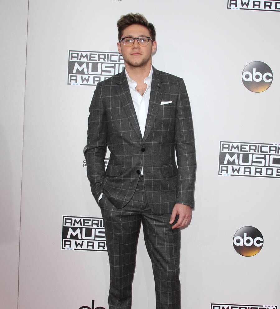 Niall Horan taking winter break to work on debut solo album