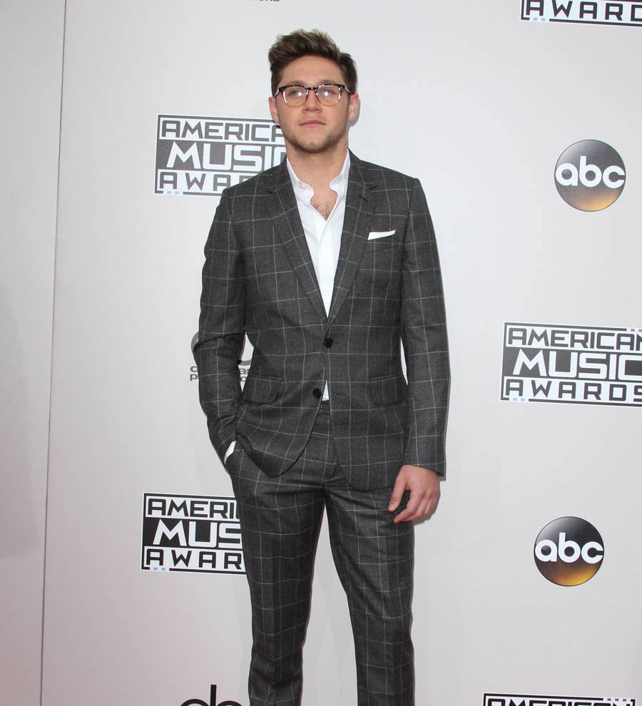 Niall Horan taking winter break to work on debut solo album