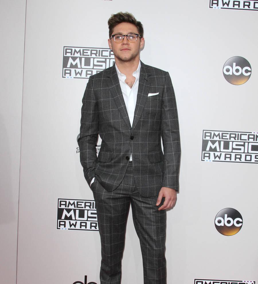 Niall Horan taking winter break to work on debut solo album