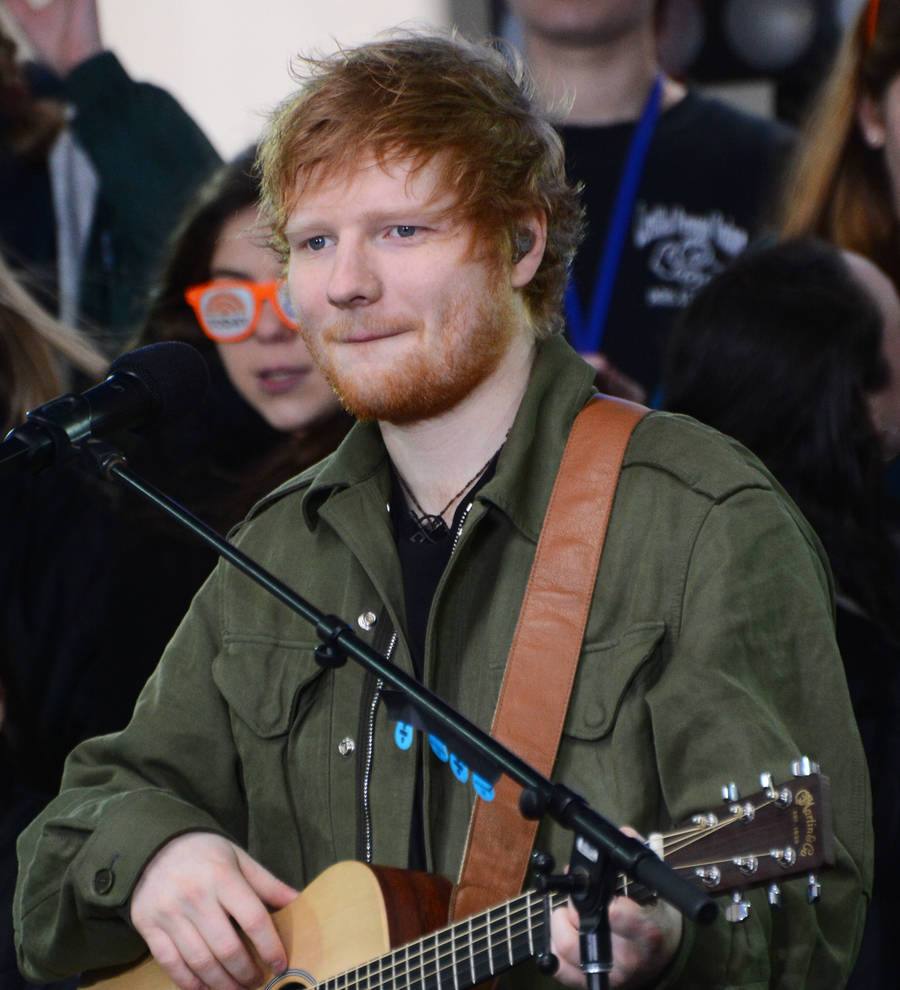 Ed Sheeran plays personal gig for ill superfan