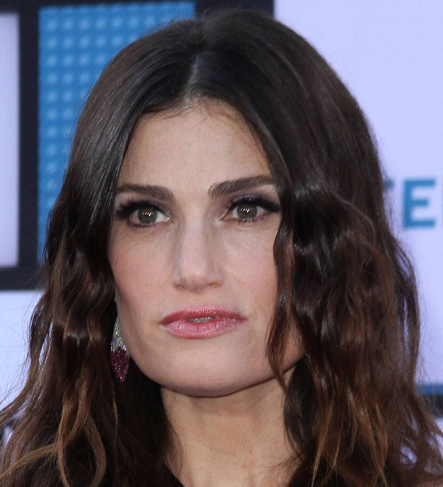 Idina Menzel planning to wed later this year