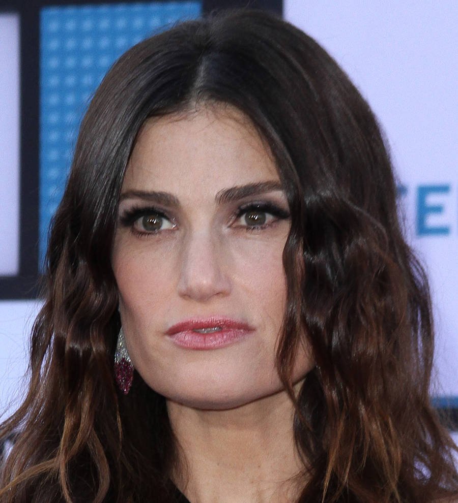 Idina Menzel planning to wed later this year