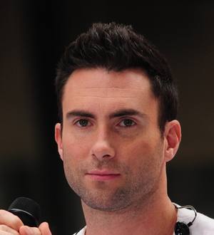 Maroon 5 staging auction for sick toddler