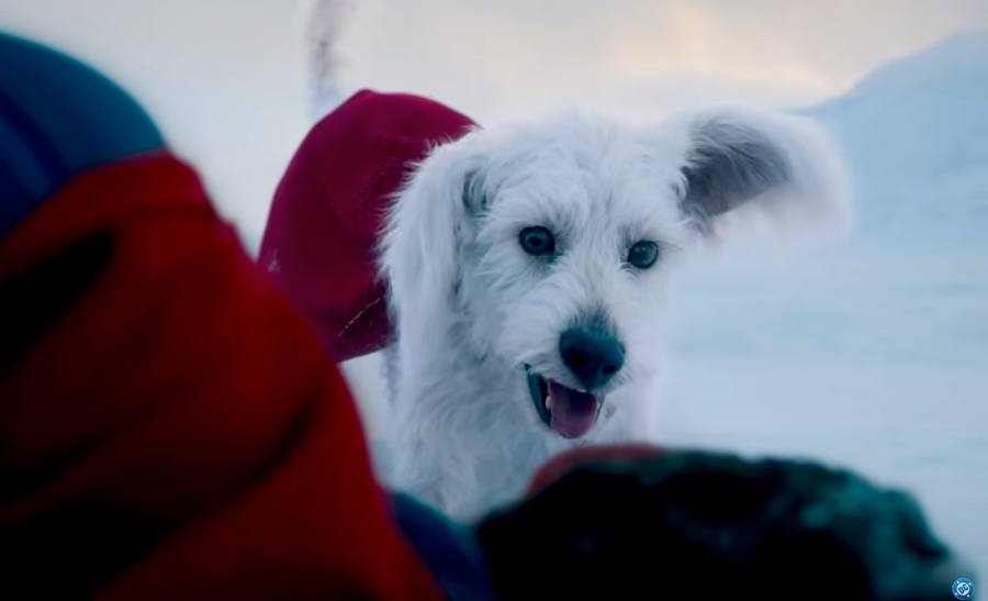 Dragons & Superdogs: Rethinking Man’s Best Friend