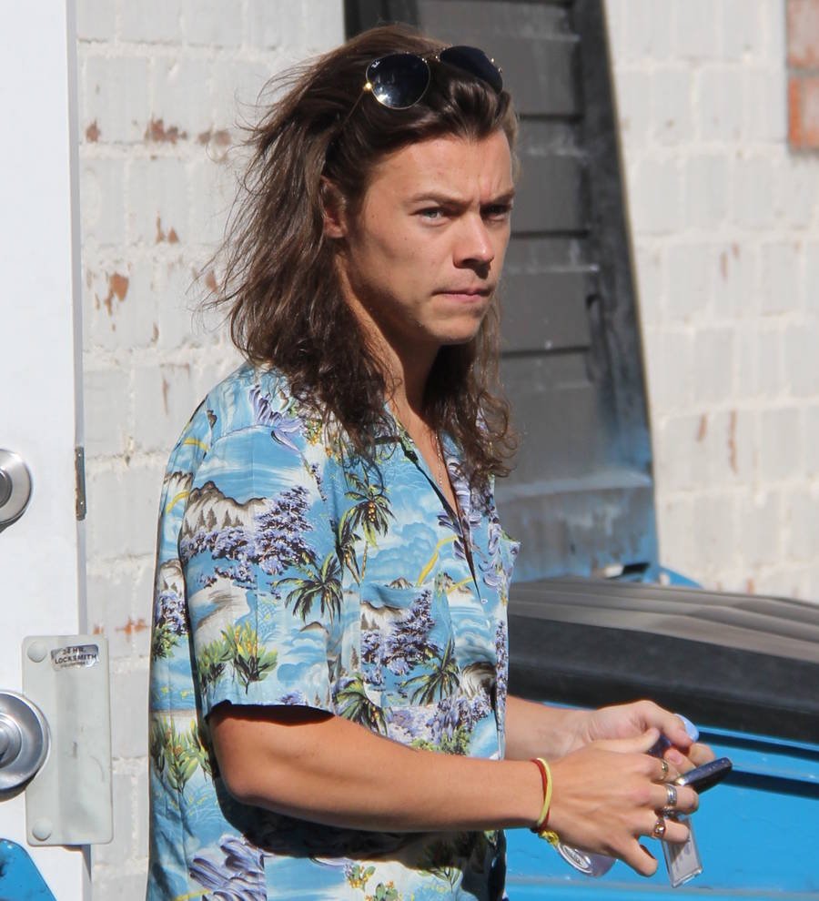 Harry Styles 'celebrates birthday with Adele and Cuba Gooding Jr.'