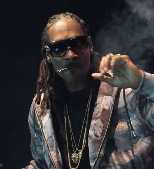 Snoop Dogg raising funds for marijuana tech start-up firms