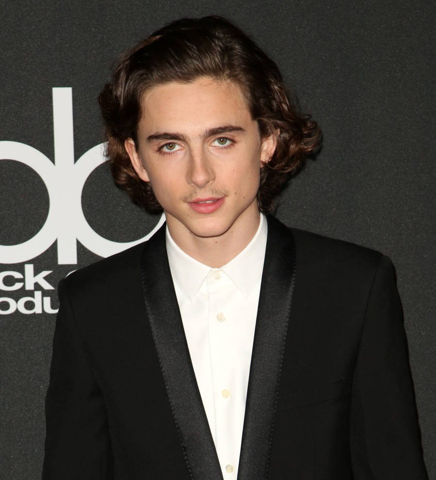 Timothee Chalamet decided to pursue acting after meeting Kid Cudi
