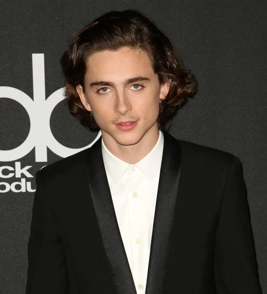 Timothee Chalamet decided to pursue acting after meeting Kid Cudi
