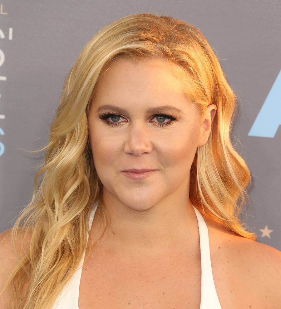 Amy Schumer shares romantic holiday snaps