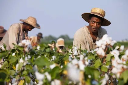 Best Picture Nominees Offer Something For Everyone