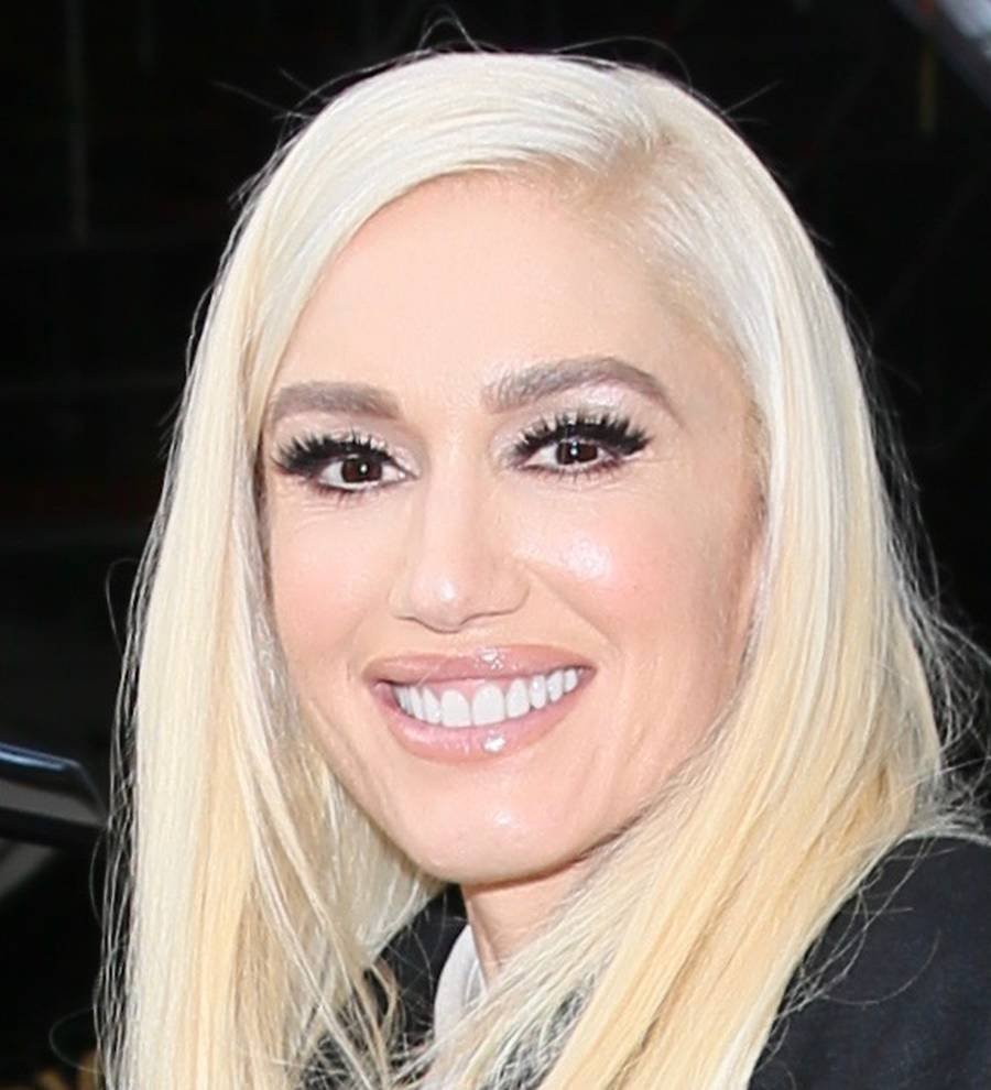 Gwen Stefani was horrified by Blake Shelton's fried diet