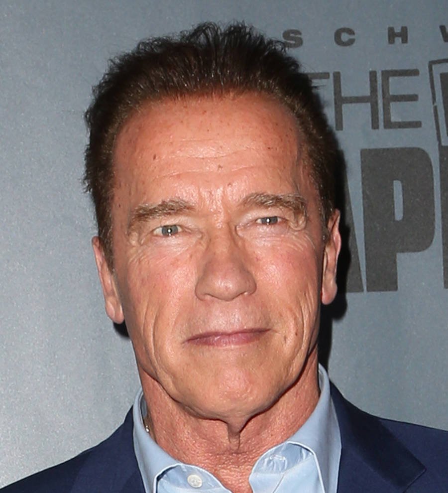 Arnold Schwarzenegger quits Celebrity Apprentice