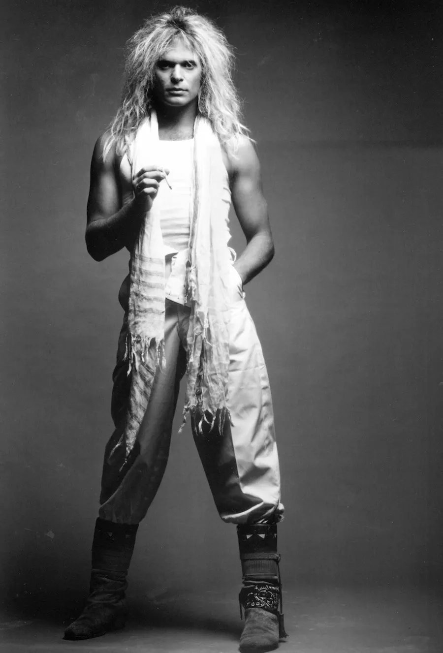 SUNDAY MUSIC VIDS: David Lee Roth
