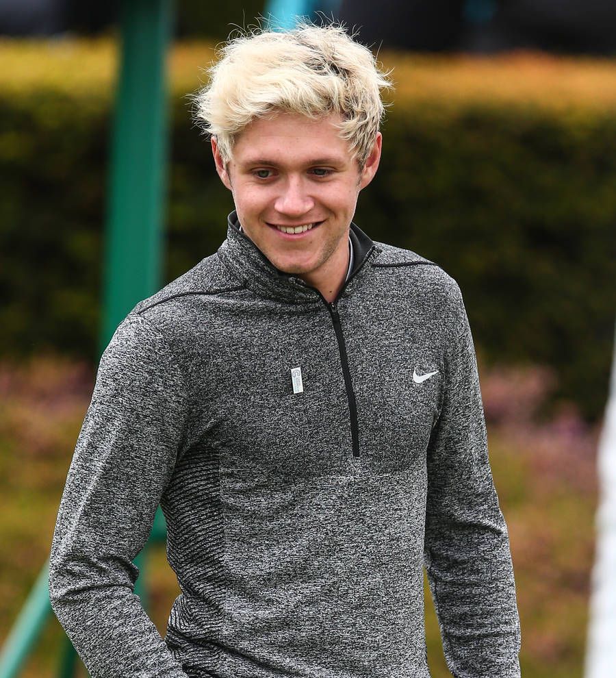 Niall Horan hasn't met Louis Tomlinson's son