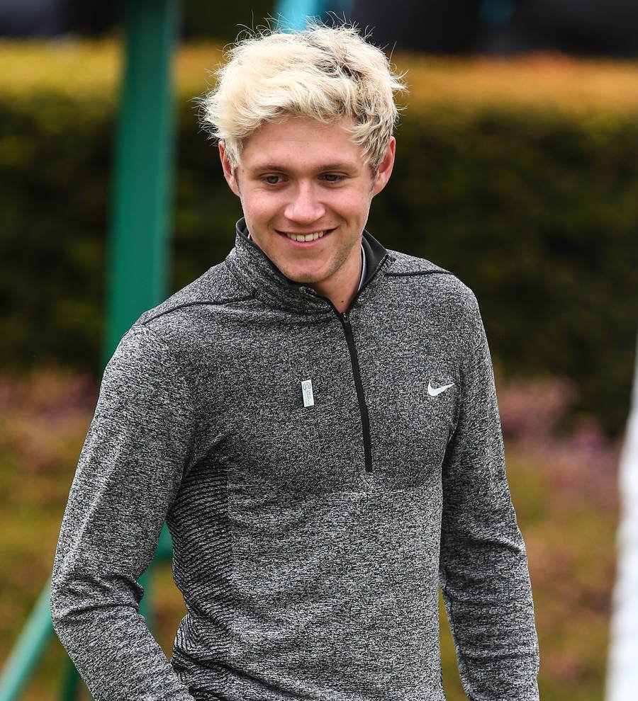 Niall Horan hasn't met Louis Tomlinson's son