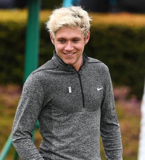 Niall Horan hasn't met Louis Tomlinson's son