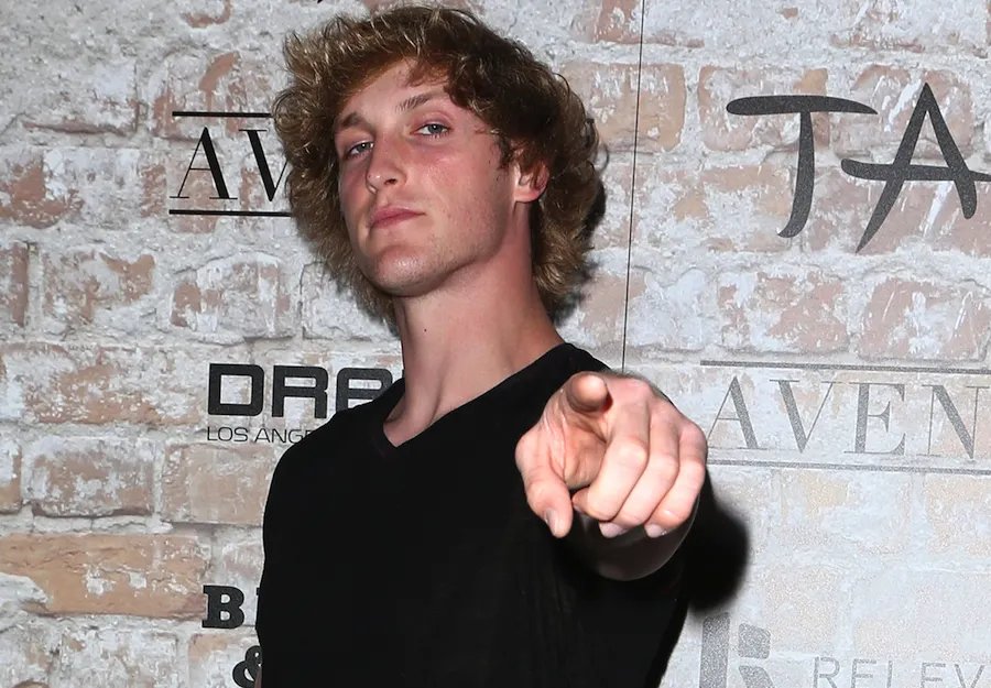 What's Next For Some of Your Favorite Vine Stars!