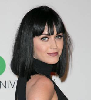 Katy Perry honours Malaysia Airlines crash victims in video