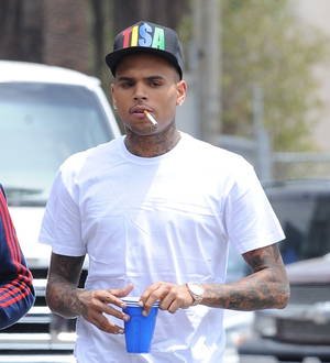 Paramedics called to treat Chris Brown after suspected seizure - report