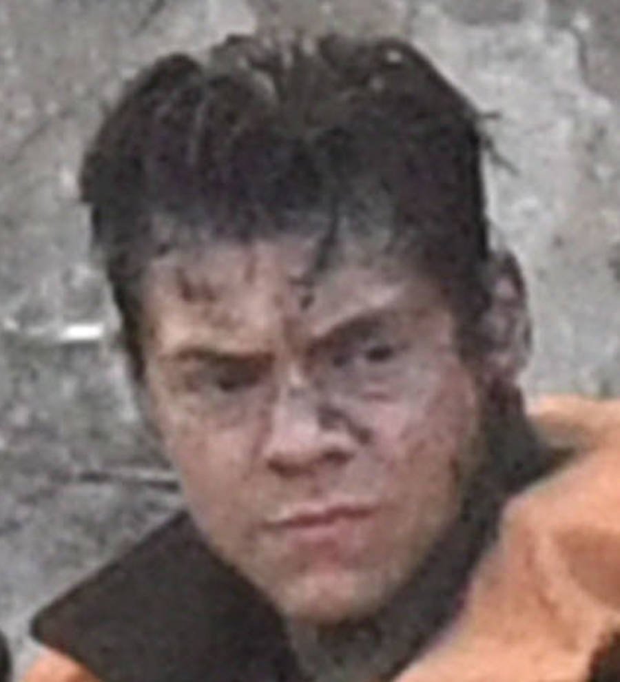 Harry Styles struggled with harsh realities of war in film debut