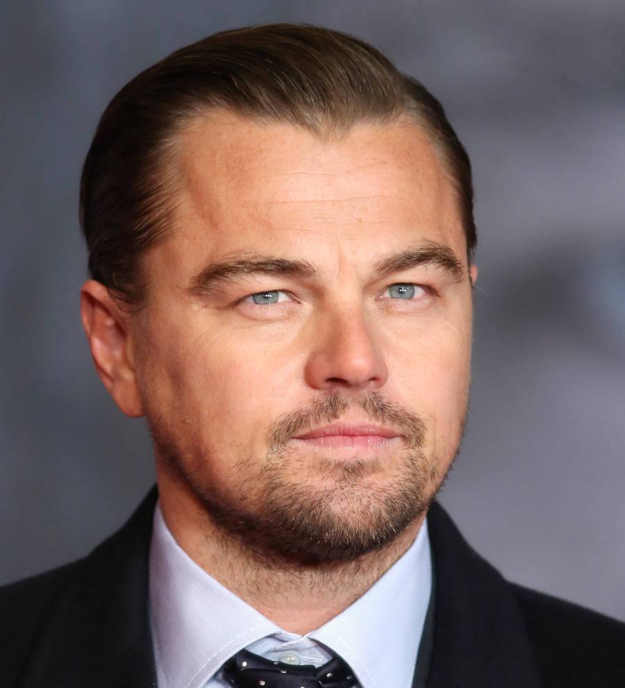 Leonardo DiCaprio announces another million donation to environmental charities