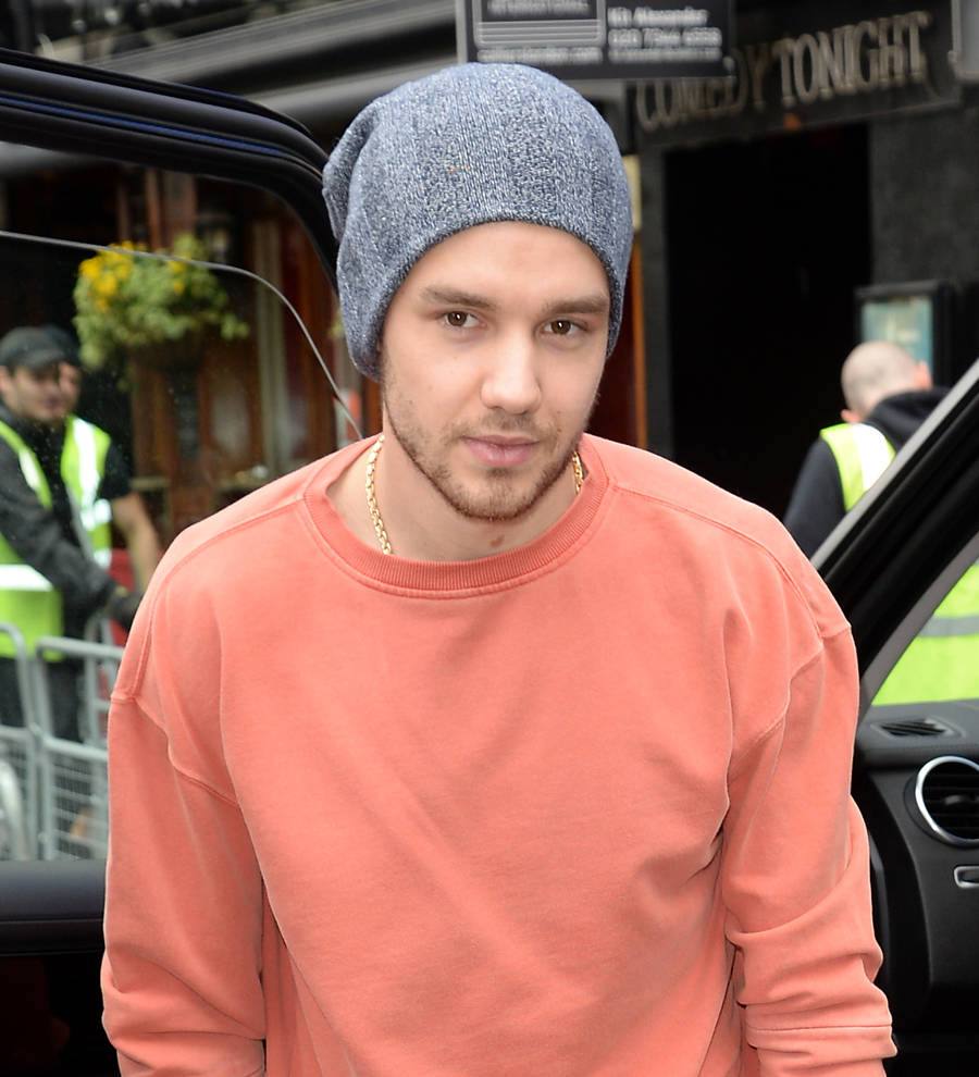 Liam Payne & Niall Horan reunite at Wango Tango