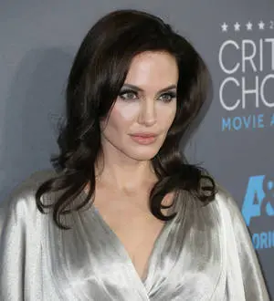 Angelina Jolie urges U.N. powers to do more for Syrian refugees