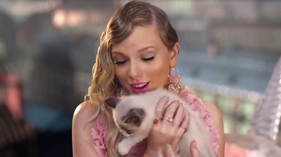 5 Celebrities and Their PURR-fect Cats!