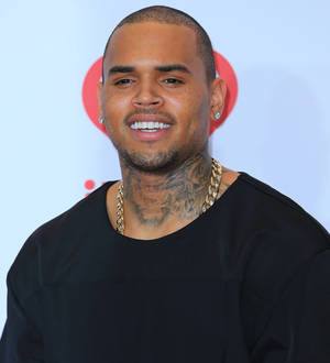 Chris Brown facing police probe over tour bus bust-up