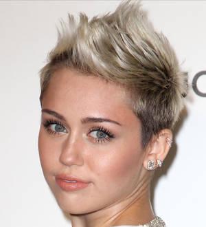 Miley Cyrus' fans reach horse carriage ban petition target