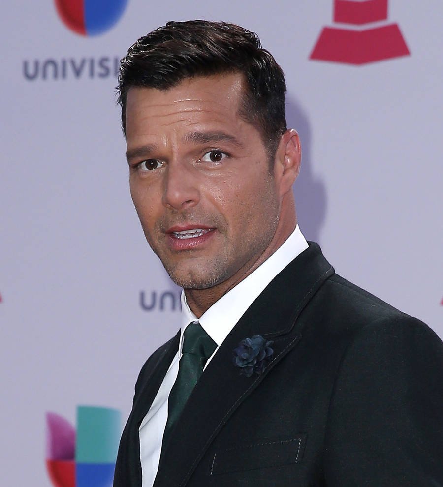 Ricky Martin is engaged