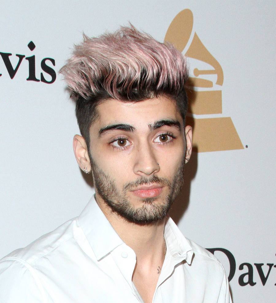 Zayn Malik 'can't get head around' new album's success