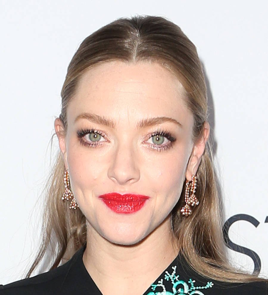Nude shots of Amanda Seyfried removed from website