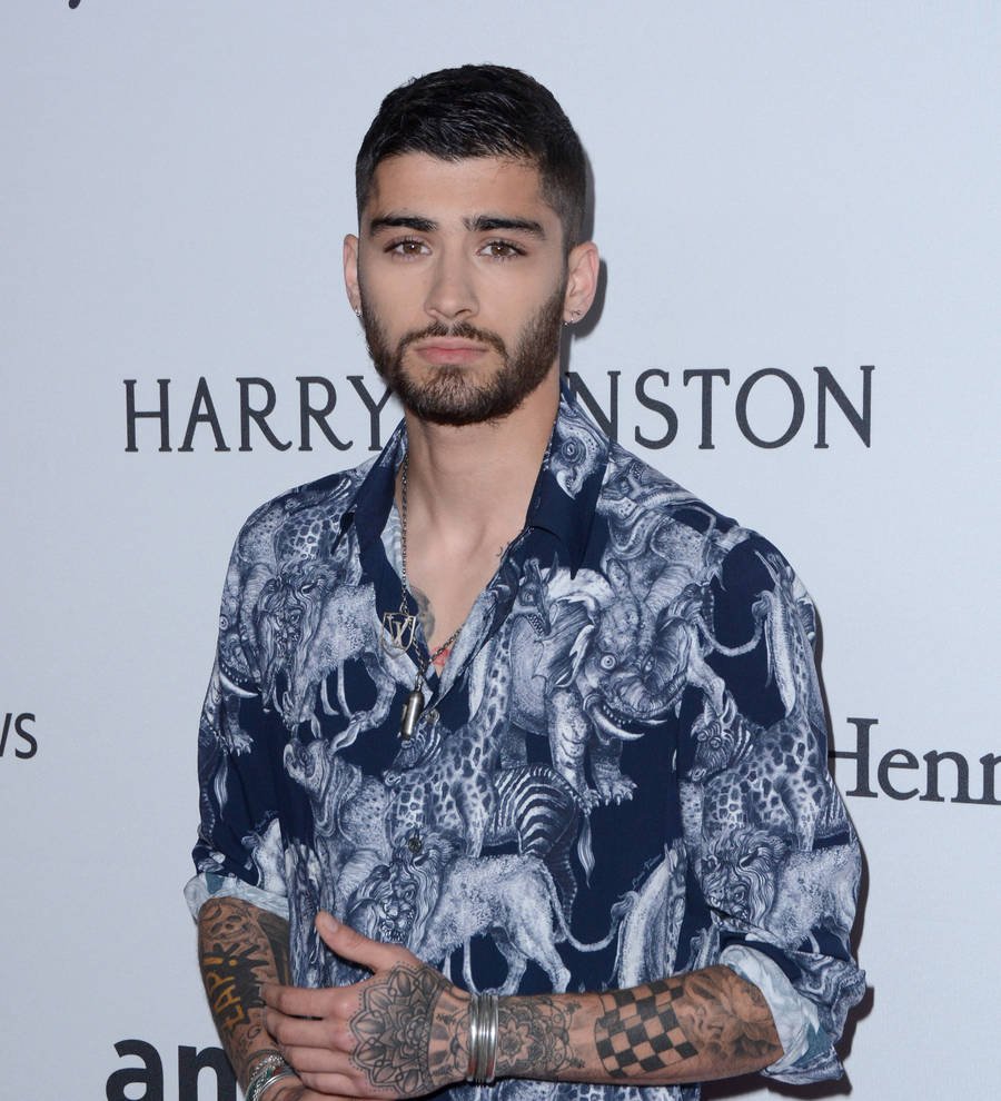Zayn Malik cancels Dubai show due to ongoing anxiety