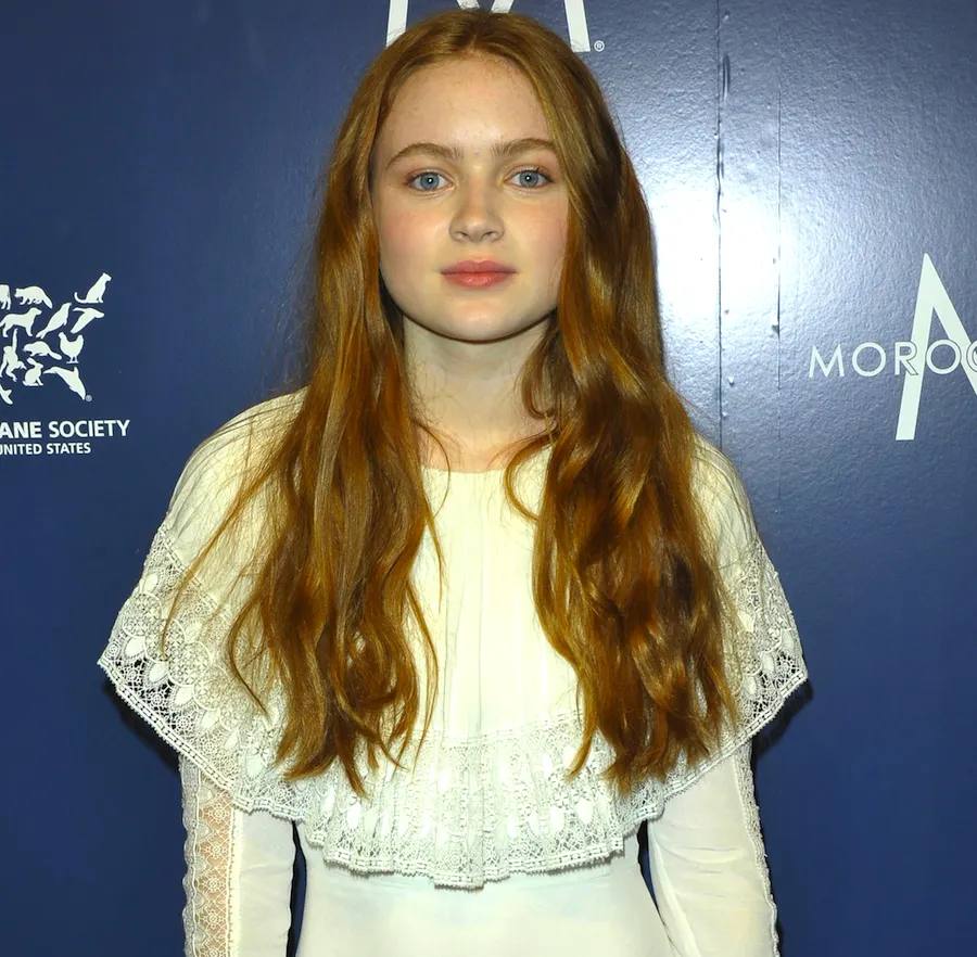 4 Things You Should Know About "Stranger Things 2" Breakout Star Sadie Sink!