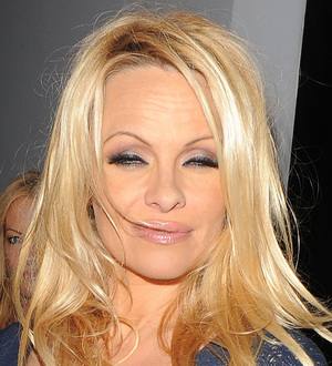 Pamela Anderson saves street dog from India