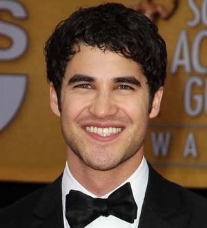Darren Criss fans organise plane message for star's birthday