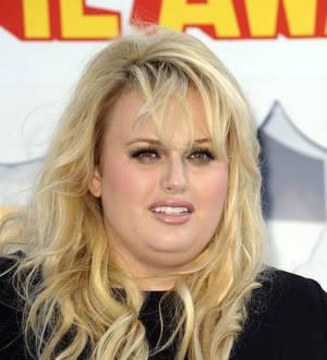 Rebel Wilson tackled swing stunt over body double woes