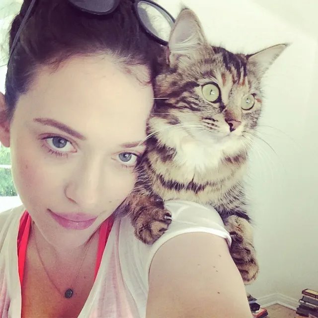 5 Celebrity Cat Ladies!