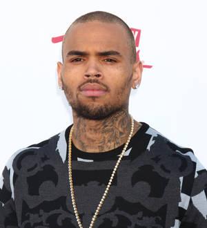 Chris Brown and Karrueche Tran split - report