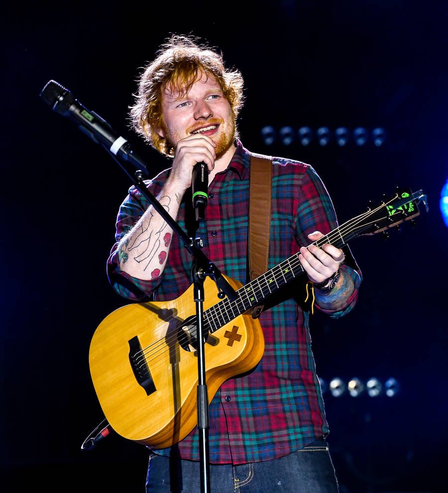 Stars remember Paris victims at race relations concert