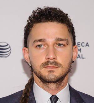 Shia LaBeouf 'slaps student in the face' during art project - report