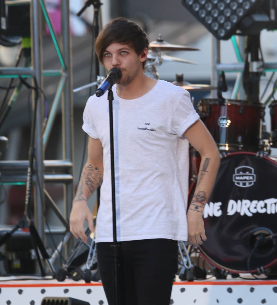 Louis Tomlinson contacted Steve Aoki after Calvin Harris gig cancellation
