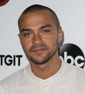 Jesse Williams joins Ferguson protest rally