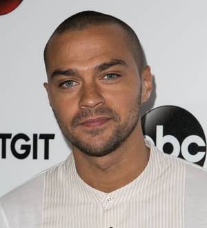 Jesse Williams joins Ferguson protest rally
