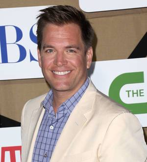 Michael Weatherly becomes a father again