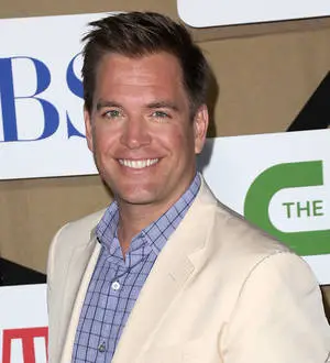 Michael Weatherly becomes a father again